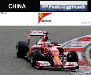 yapboz Fernando Alonso - Ferrari - 2014 Çin Grand Prix, gizli bir 3.
